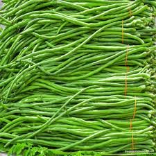 <p>LONG BEANS</p>