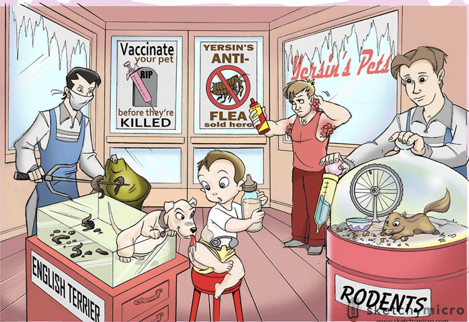 term image