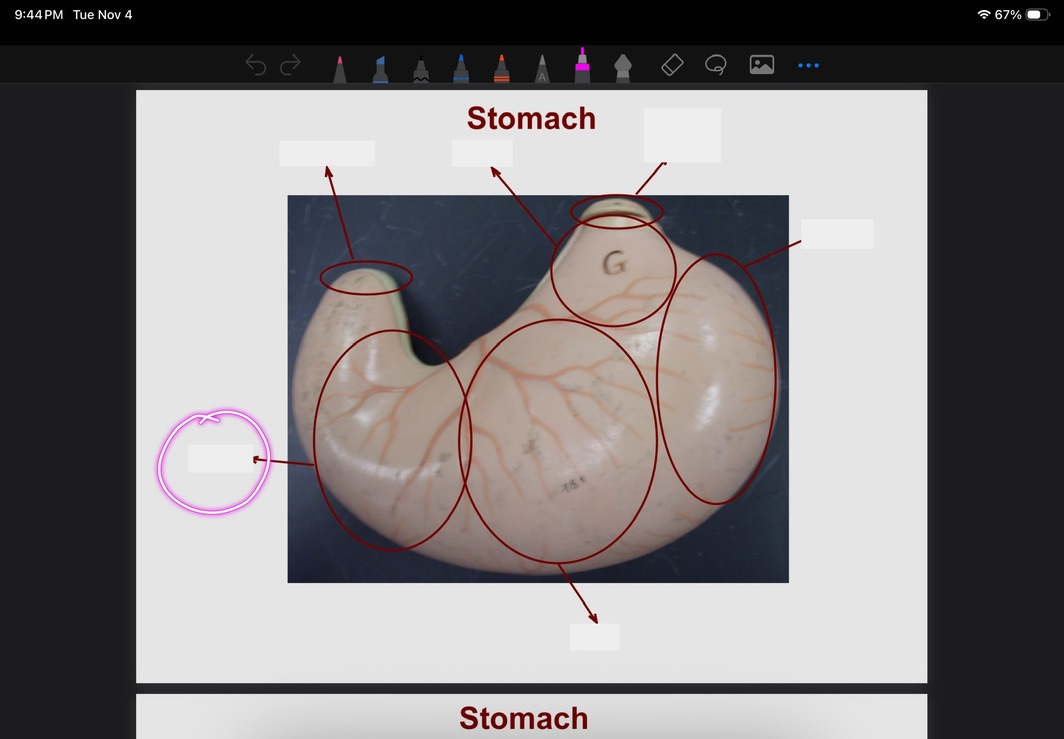 <p>What is this?</p>