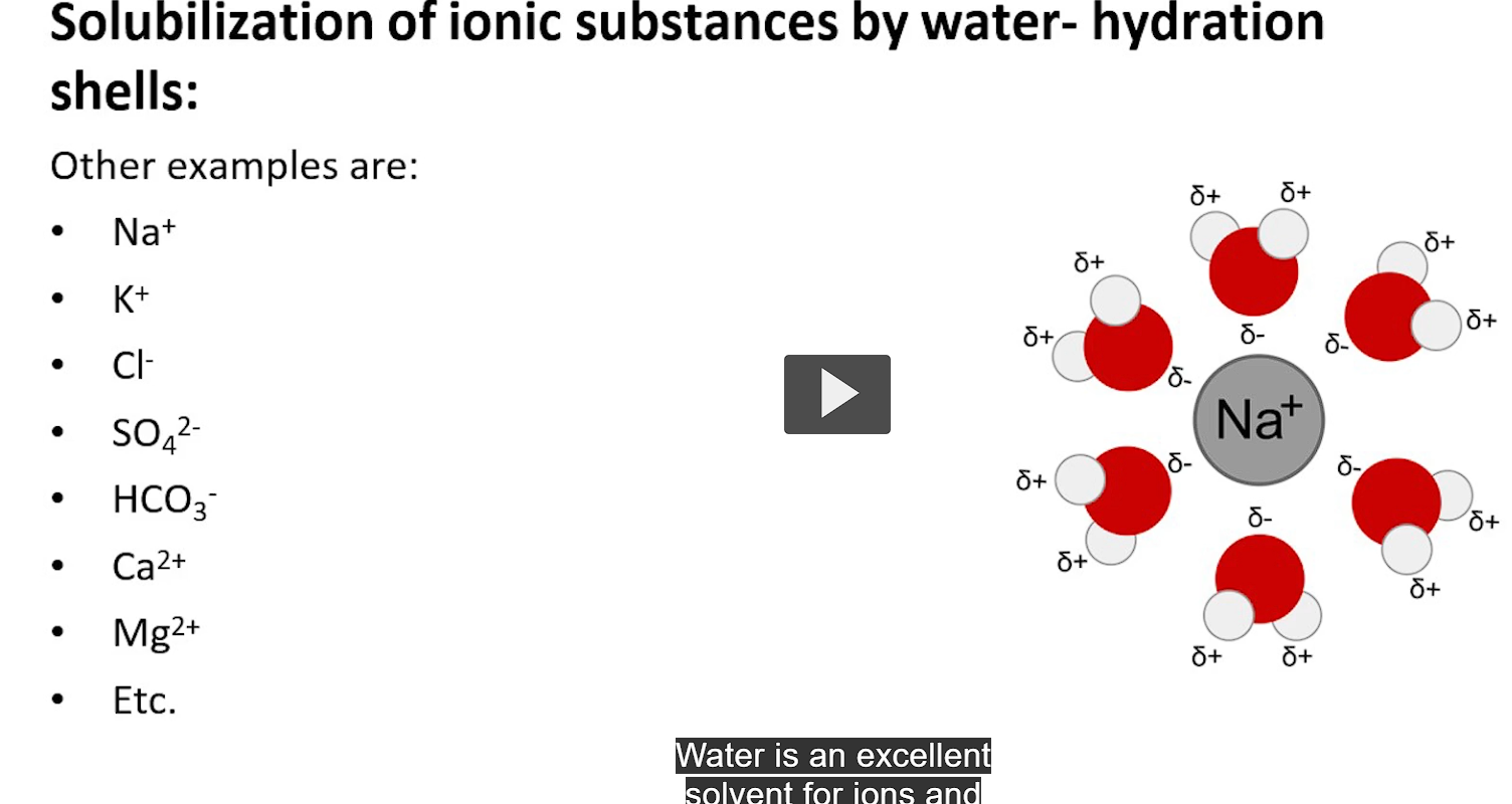 <p>water is an excellent solvent for ions and polar molecules</p><p>it surrounds these ions with hydration shells, preventing re-association and precipitation. this is important for preventing kidney stones. </p>