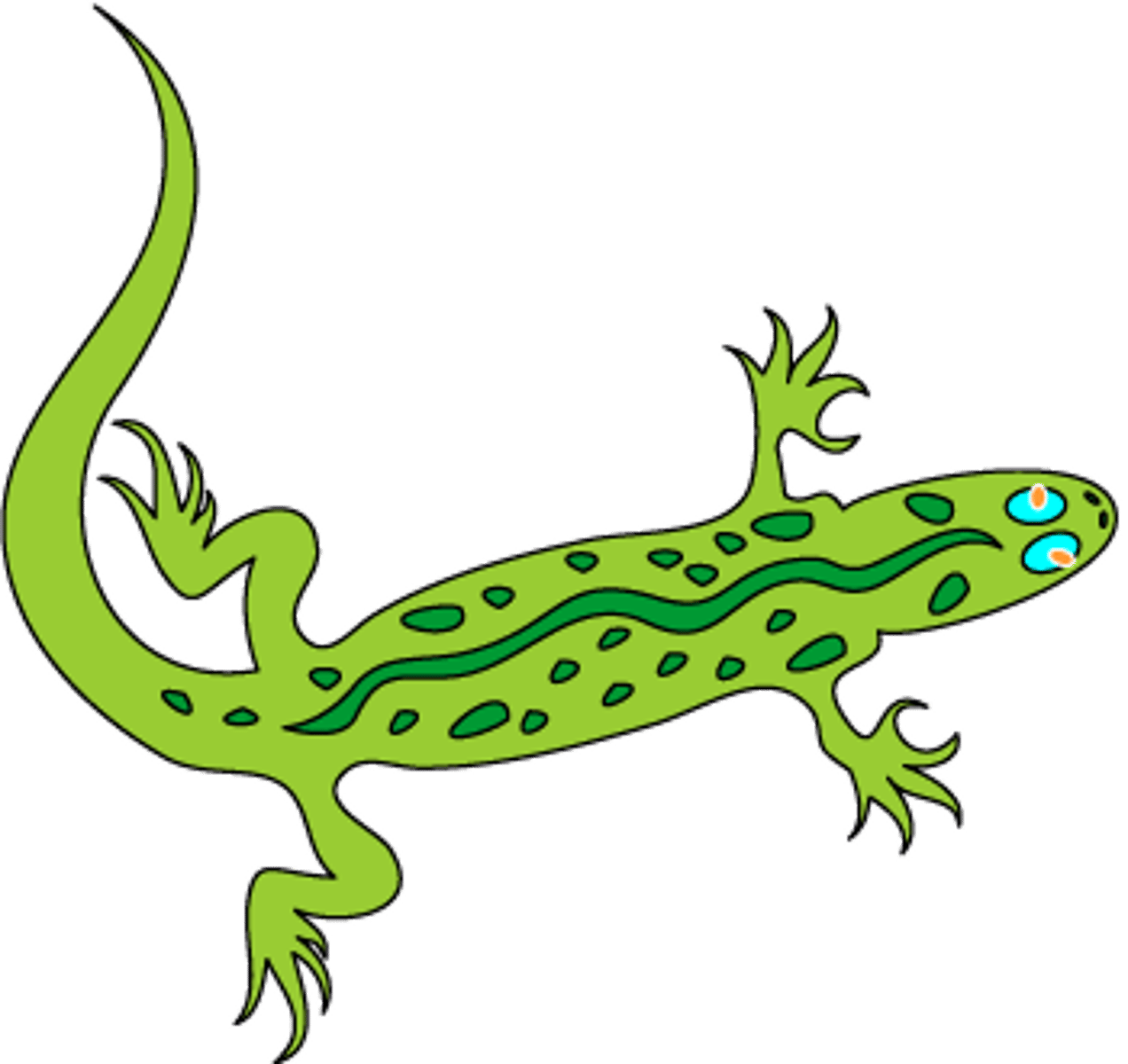 <p>lizard</p>