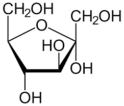 <p>monosaccharides</p>