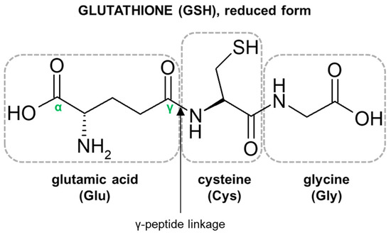 <ol><li><p>Insulin: Hormone that regulates blood sugar)</p></li><li><p>Glutathione (a reducing agent in metabolism)</p></li></ol><p></p>