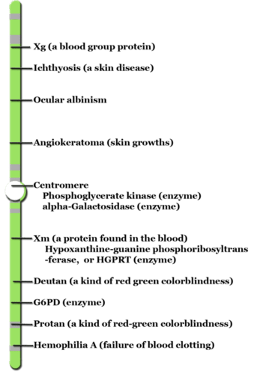 <p>linkage maps</p>