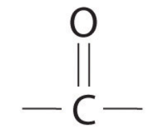 <ul><li><p>No hydrogen atom </p></li><li><p>C=O is between 2 carbons in a chain </p></li></ul><p></p>