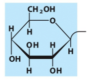 <p>What is the name and category of this lipid?</p>