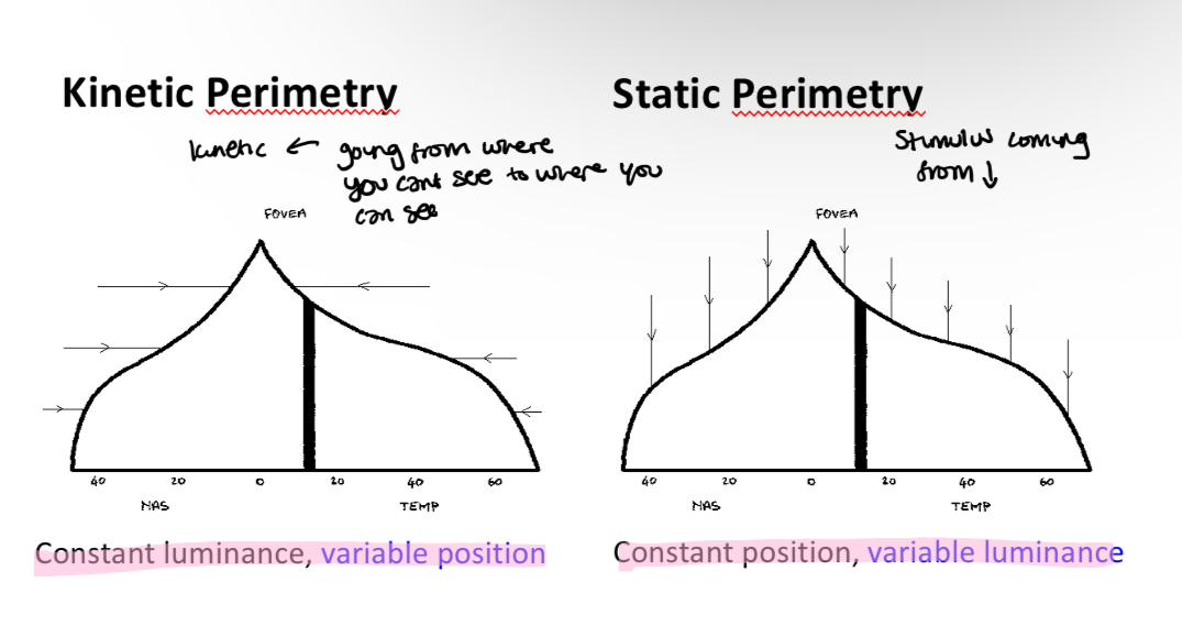 <p>Kinetic and static </p>