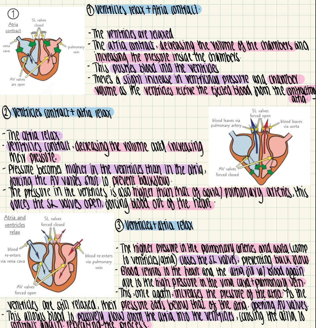knowt flashcard image