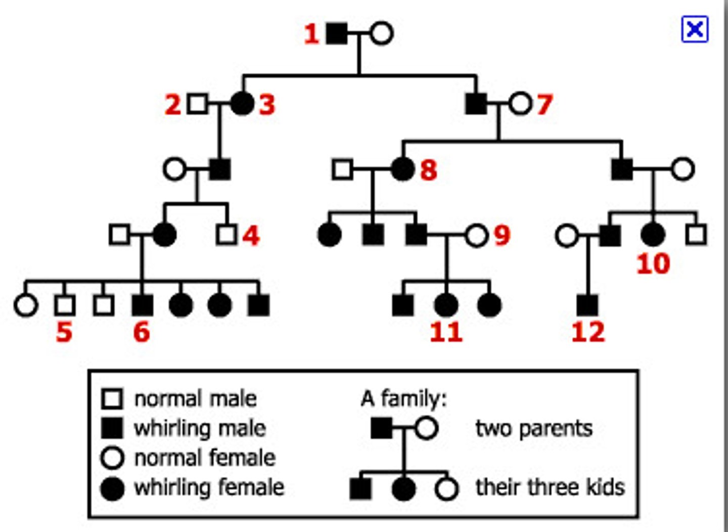 <p>A chart which shows several generations of related families and how traits are passed down through the offspring.</p>