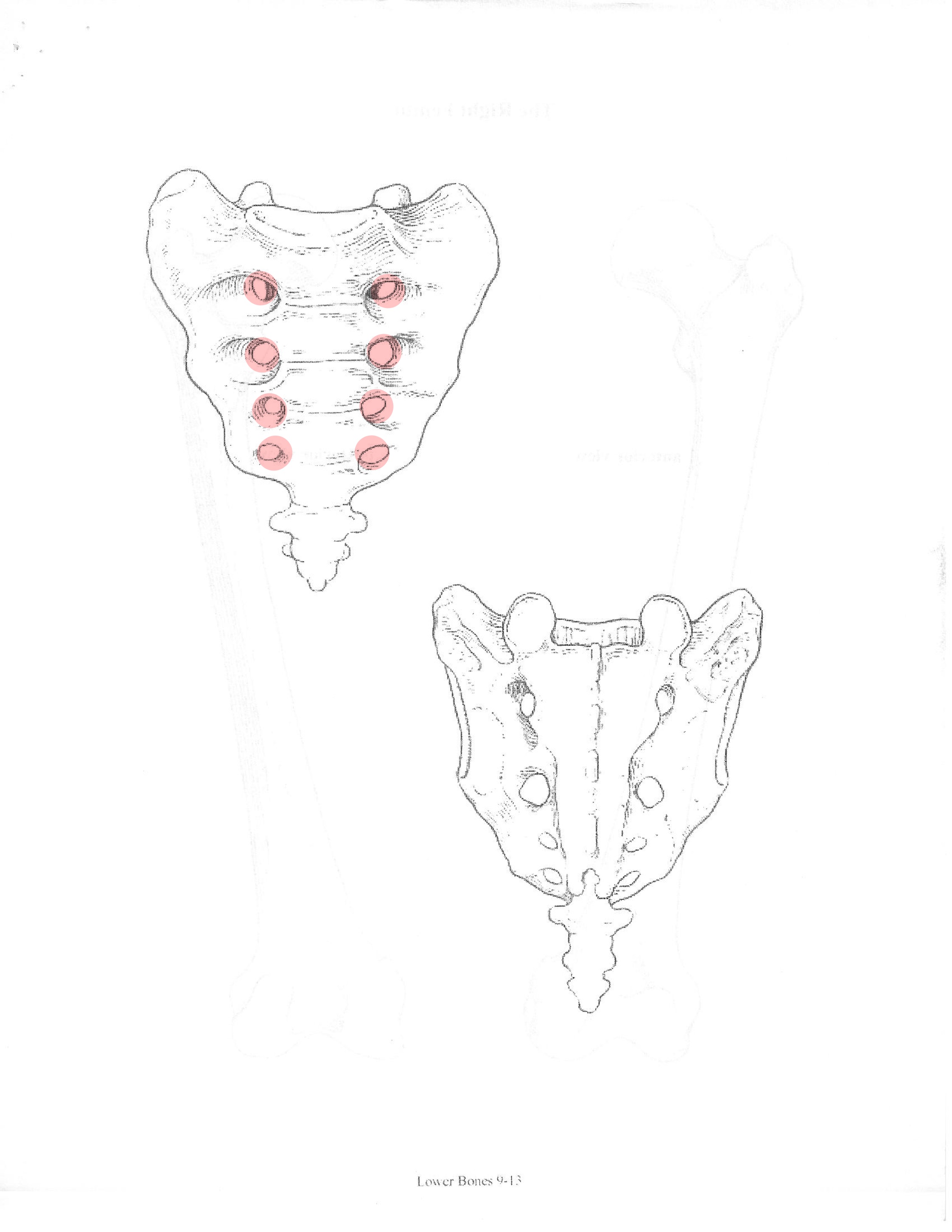 <p>ID feature</p>