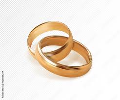 <p>Two rings interlocked</p>