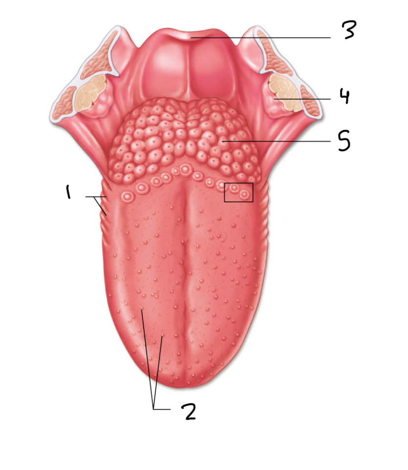 <p>1</p>
