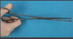 <p>is used to grasp tissue. Available in short and long sizes. </p>