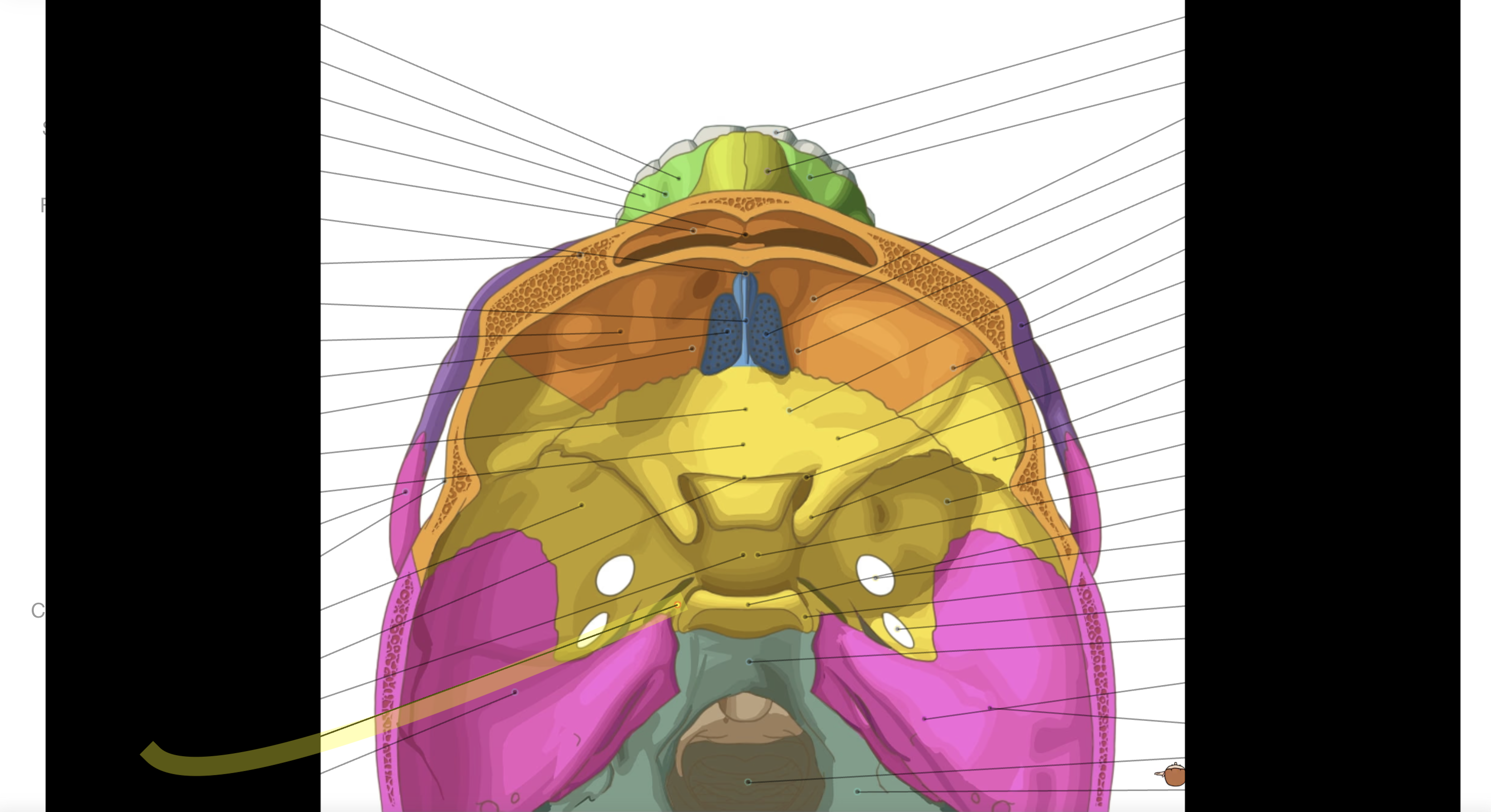 <p>What is the structure?***</p>