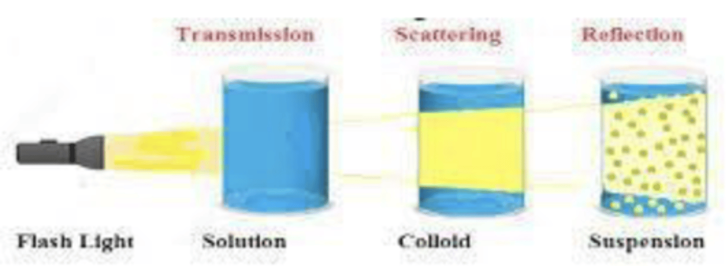 <p>▪ homogeneous mixture of two or more substances</p><p>▪ particles cannot be seen by naked eye</p><p>▪ Does not cause beams of light to scatter</p><p>▪ A solution is stable</p><p>▪ solute from a solution cannot be separated by filtration (or mechanically)</p><p>▪ only one phase</p>