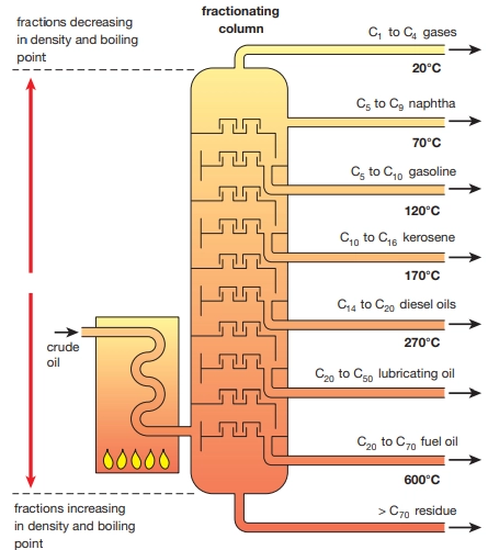 <p>Describe this image</p>