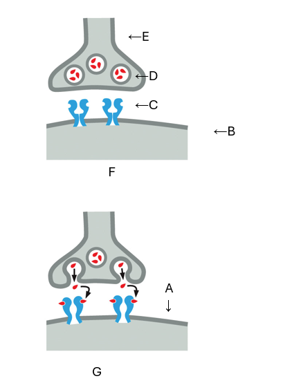 <p>What is A?</p>