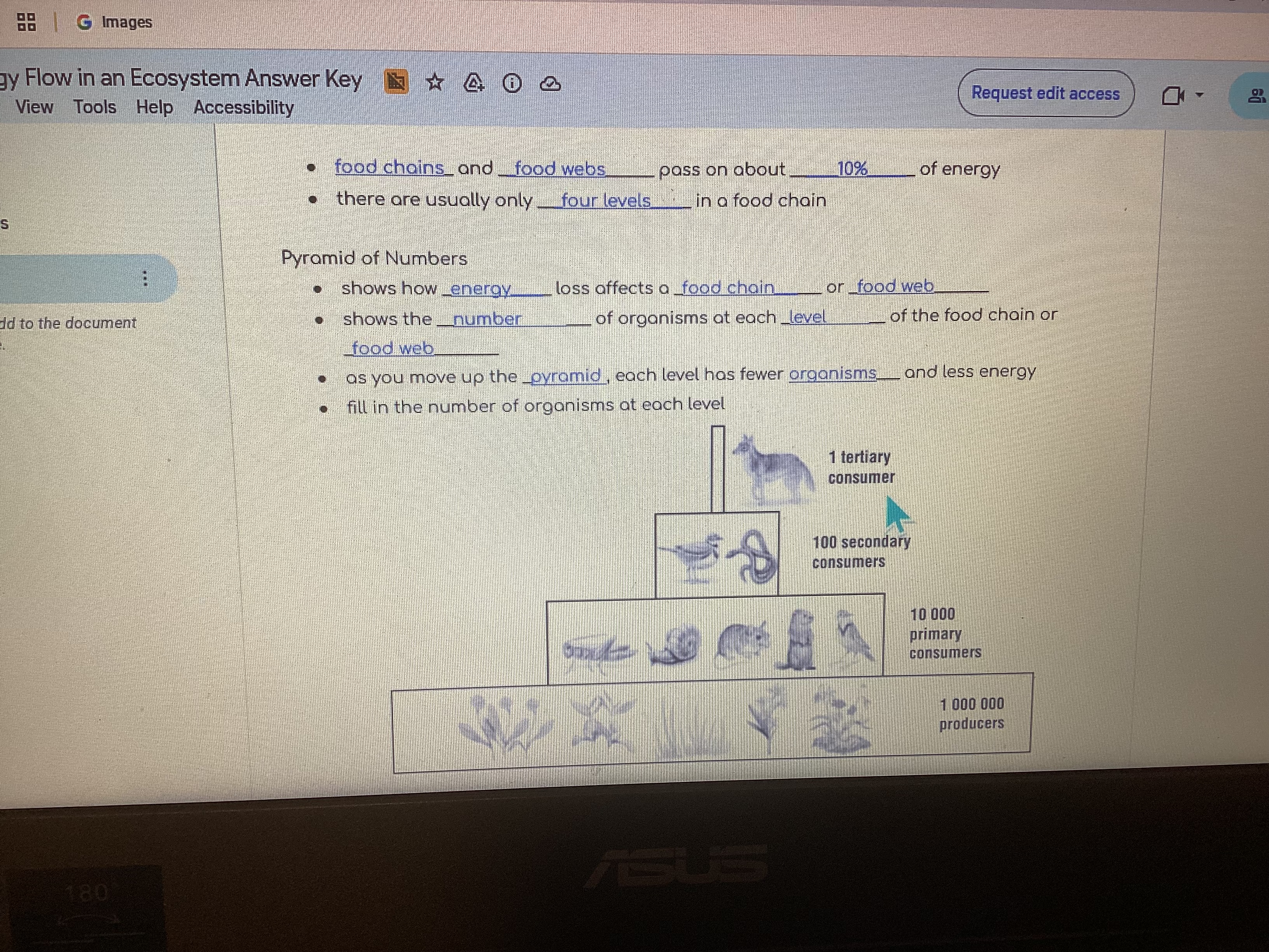 knowt flashcard image