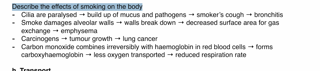 <ul><li><p>Cilia are paralysed → build up of mucus and pathogens → smoker’s cough → bronchitis</p></li><li><p>Smoke damages alveolar walls → walls break down → decreased surface area for gas exchange → emphysema</p></li><li><p>Carcinogens → tumour growth → lung cancer</p></li><li><p> Carbon monoxide combines irreversibly with haemoglobin in red blood cells → forms carboxyhaemoglobin → less oxygen transported → reduced respiration rate</p></li></ul><p></p>