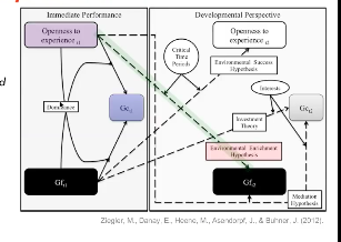 1. Historical and present-day Gc
- Ackerman: "For adults, historical abilities (or school version abilities) are those that are assessed by most standardised group tests used in schools - those that focus on the kind of knowledge and skills developed prior to adulthood"

2. Gc is experiential
- Influenced by time invested in intellectual pursuits over development, and by historical and current interests and memory

Open people are more likely to be attracted to more learning opportunities which positively affect Gf
- Gf positively affects Openness because the skills afforded by Gf are more likely to lead to success in novel, complex situations