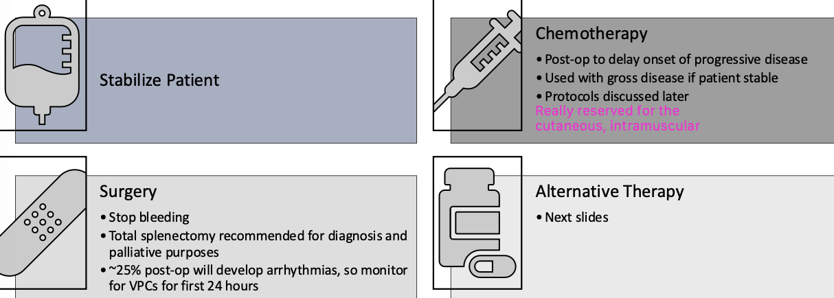 <p>1. stabilize patient</p><p>2. surgery</p><p>3. chemotherapy</p><p>4. alternative therapy</p>