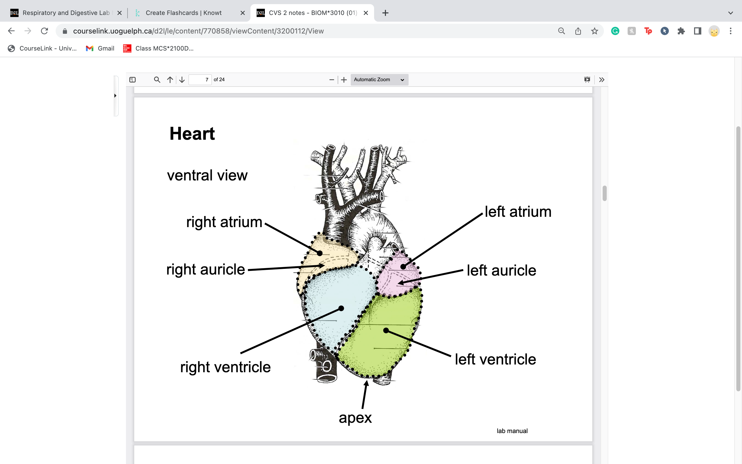 knowt flashcard image