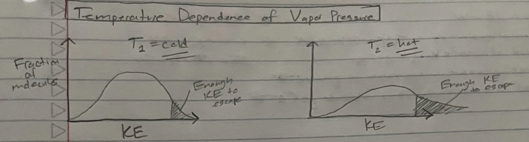<p>conclusion: vap increases as T increases</p>