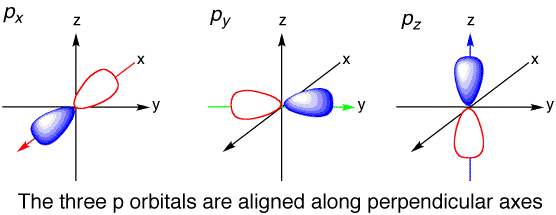 <p>DUMBELL SHAPED</p>