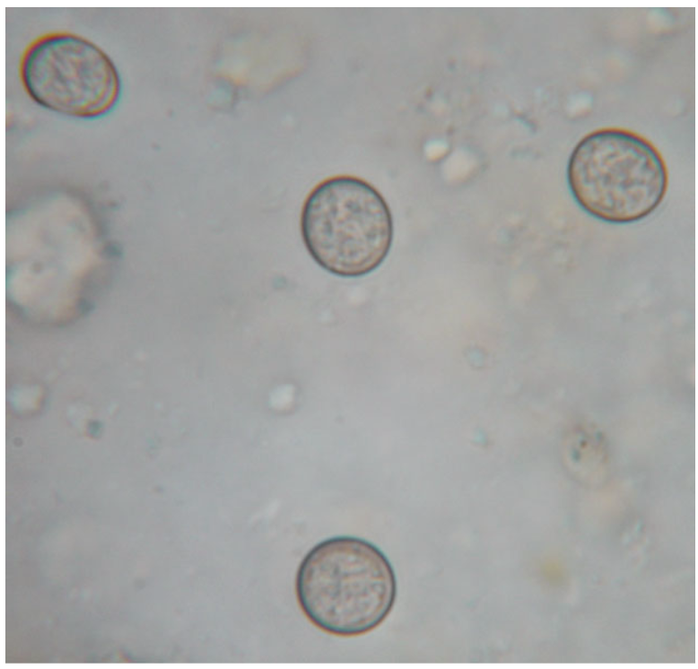 <p>What is this?</p>