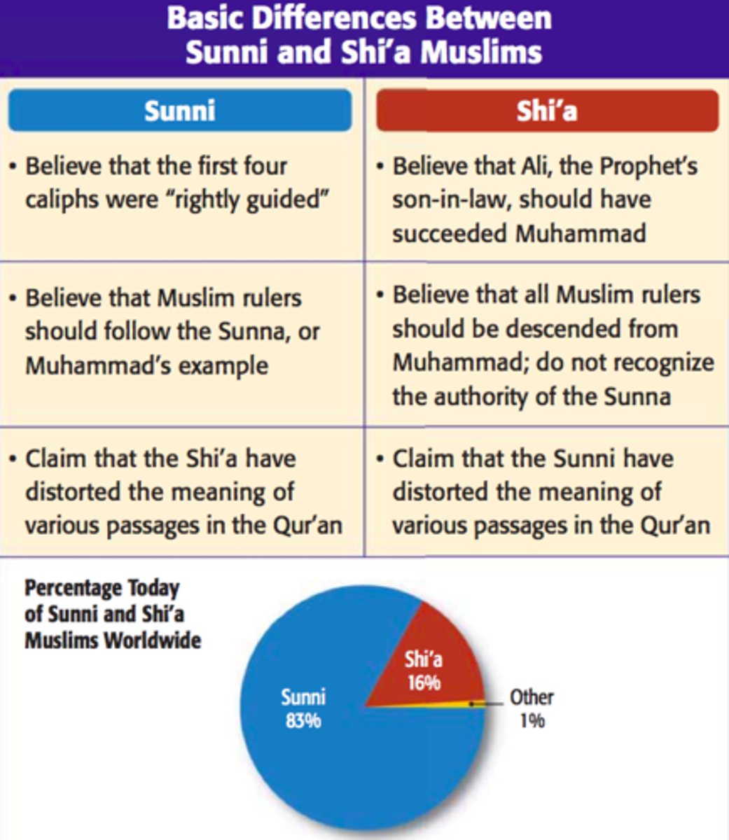 <p>A Muslim group that accepts only the descendants of Muhammed's son-in-law Ali as the true rulers of Islam; The SMALLER branch of Islam.</p>