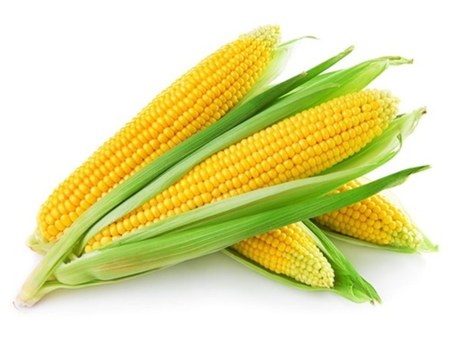 <p>corn</p>