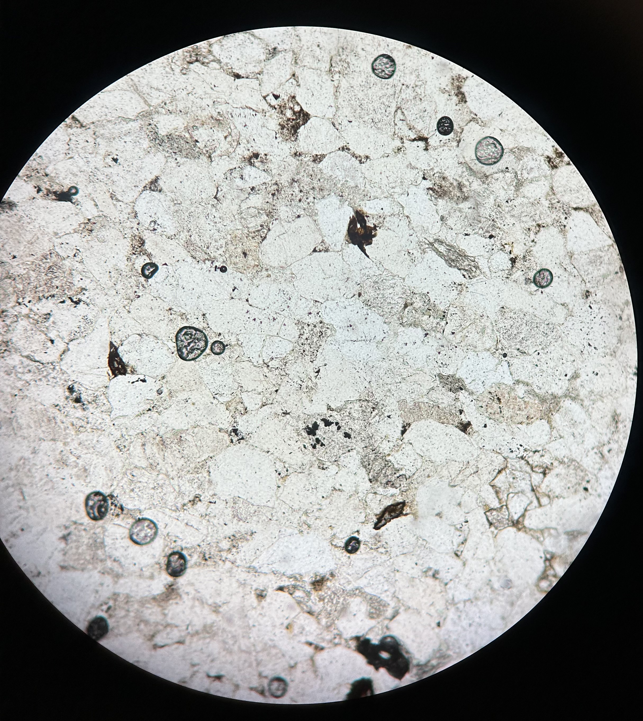 <p>Quartz under the microscope</p>