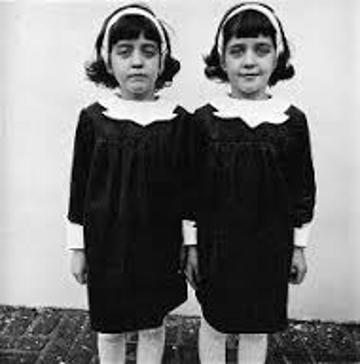 <p>identical twins</p>