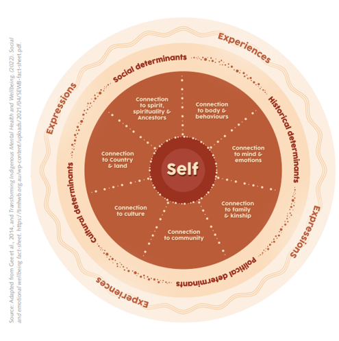 <ul><li><p>The SEWB model uses a circular shape with the self embedded within layers of relationships and connections, while the dual-continuum model places the individual along two intersecting lines (horizontal and vertical)</p></li></ul><p></p>