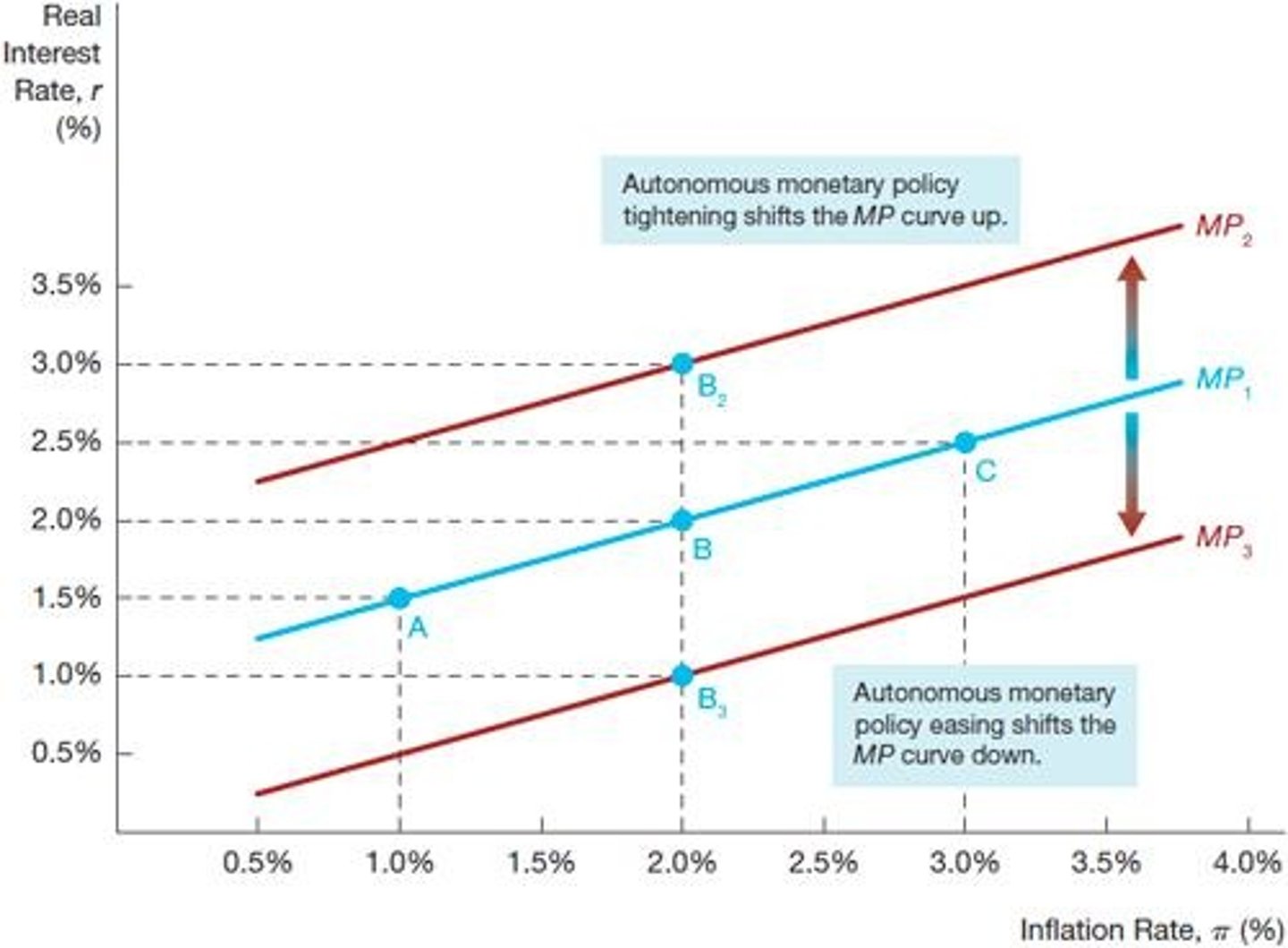 <p>Shows real interest rate response to inflation.</p>