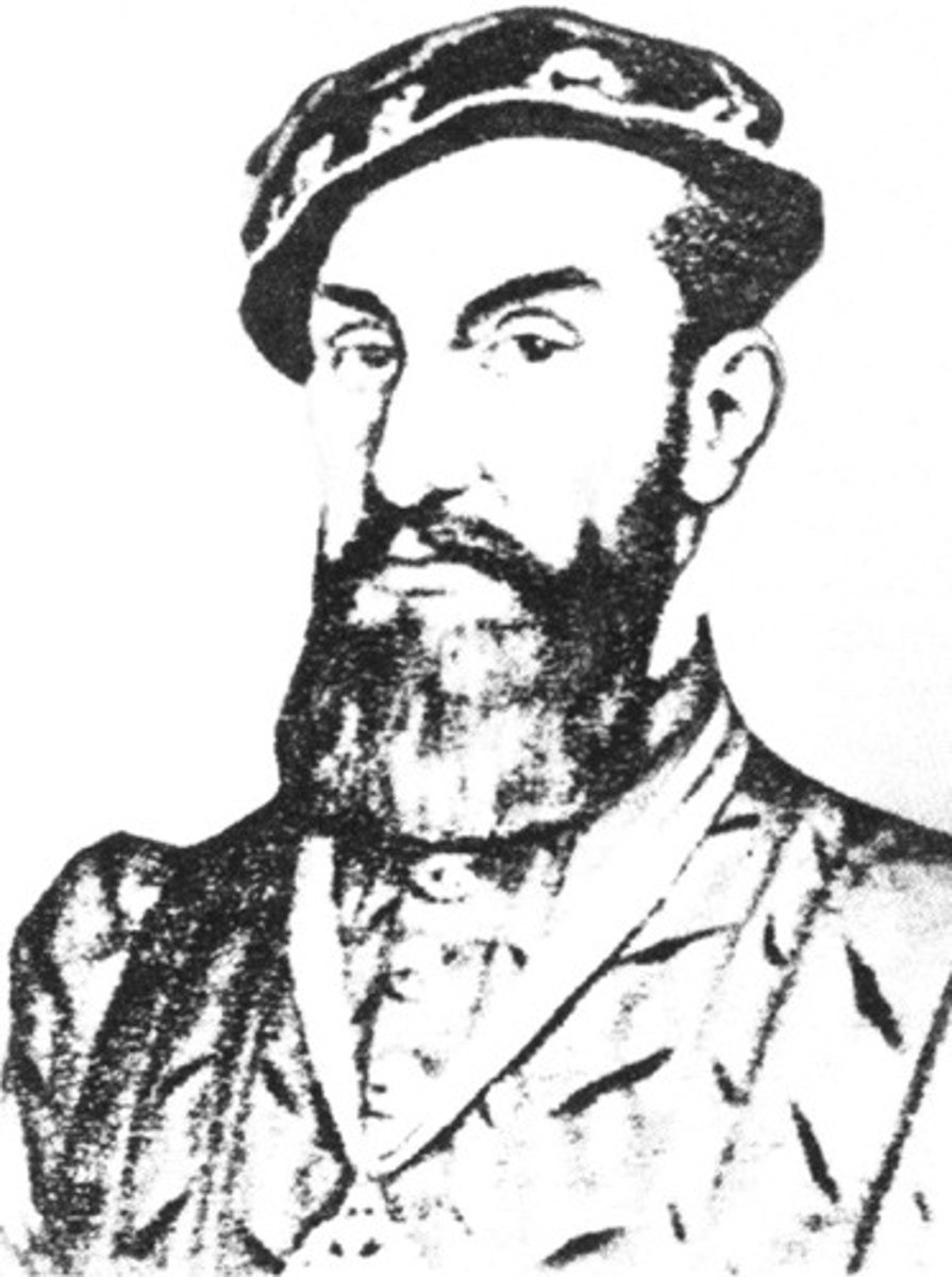 <p>Spanish explorer searching for the Seven Cities of Gold. He arrived in Texas when a hurricane pushed him and his men ashore in 1529.</p>