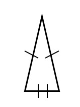 <p>2 sides are congruent</p>