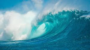 <p>The Ocean</p>