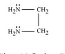 <p>2 lone pairs on the Nitrogen so it can 2 coordinate bonds</p>