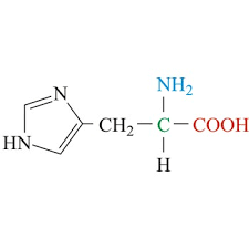 <p>What is the name of this amino acid, and what are the single and three letter codes?</p>