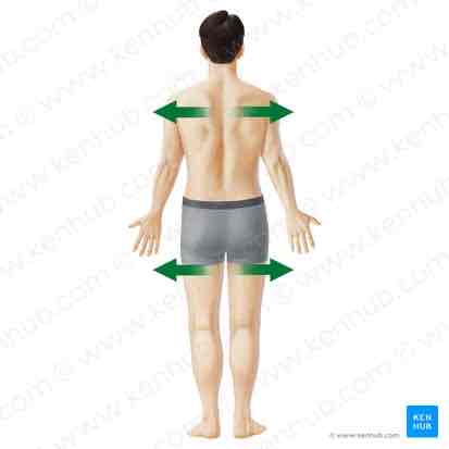 <p>Away from the midline</p>
