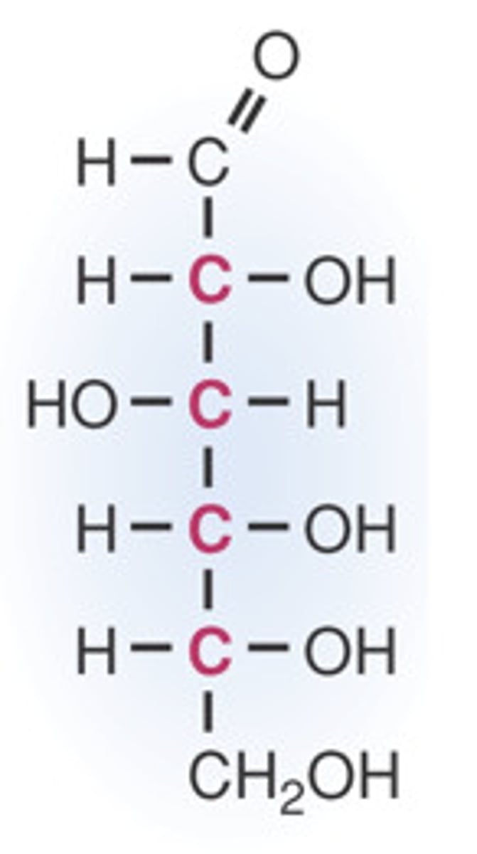 <p>contain a carbonyl group (aldehyde or ketone) and multiple hydroxyl (-OH) groups</p>