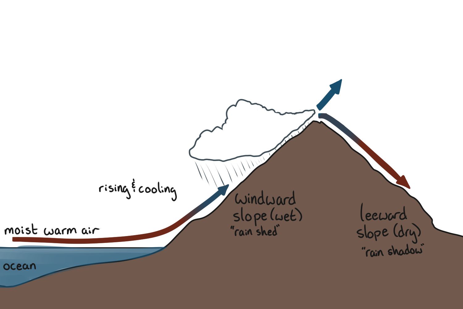 <p>“oro” means mountain</p><p>over top of landscape barriers, adds energy to clouds, SALR</p><ul><li><p>windward slope (faces wind) tends to be a wet slope -&nbsp;“rain shed”, warm/moist</p></li><li><p>lots of the precipitation is removed as it travels up, but the energy/heat is still there</p></li><li><p>on the leeward slope, it descends adiabatically into warming air, into the&nbsp;“rain shadow”/sheltered side, hot/dry</p></li></ul><p>ex.  Victoria Island gets 3 meters of rain a year (very wet), interior of BC is very dry (semi-arid)</p>