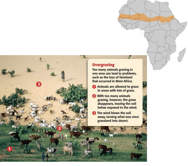 <p><strong>desertification of the sahel causes</strong></p>