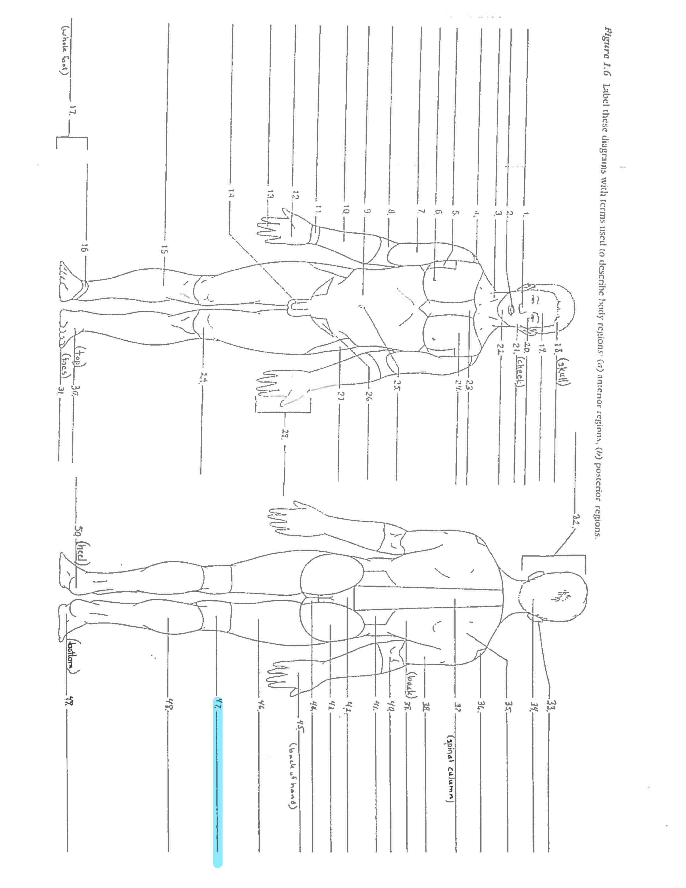 <p>Line 47 </p>