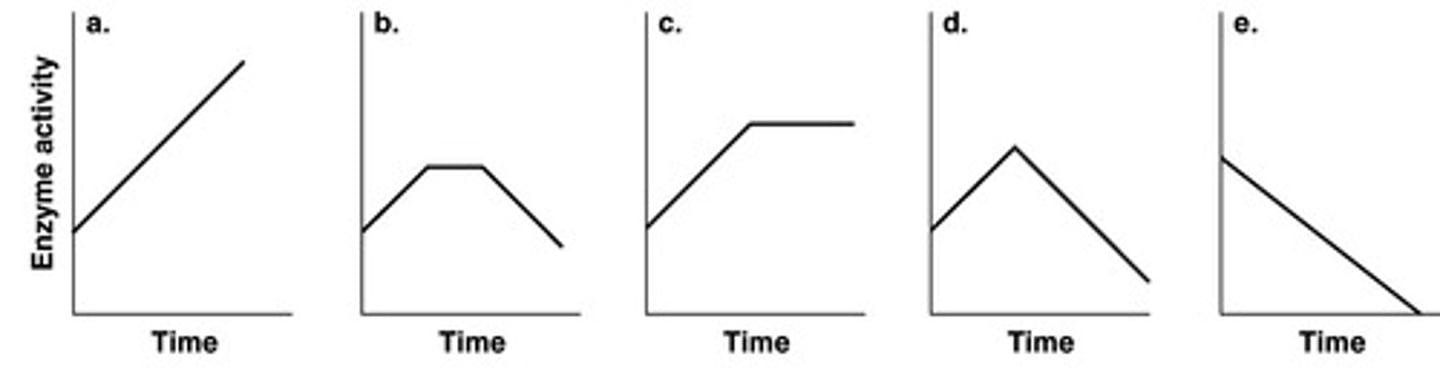 <p>c</p>