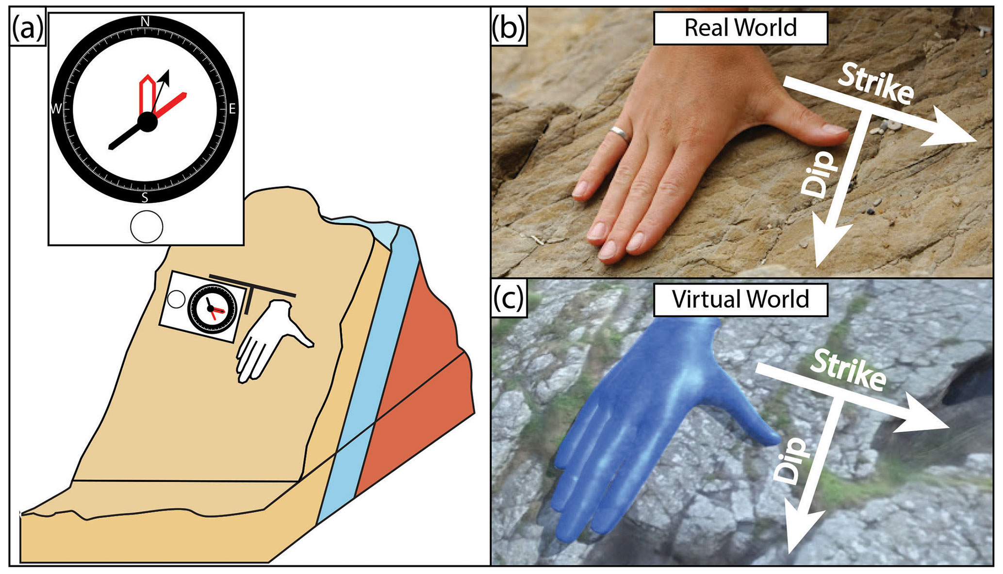 <ul><li><p><strong>Definition:</strong> The <strong>angle of inclination</strong> between a rock layer and a horizontal surface. It indicates how steeply a plane slopes.</p></li><li><p><strong>Measurement:</strong></p><ul><li><p>Measured in degrees (0°–90°) using a <strong>clinometer or geologic compass</strong>.</p></li><li><p><strong>Dip Direction:</strong> The <strong>compass direction</strong> in which the rock layer slopes <strong>perpendicular to the strike</strong> (e.g., if the strike is N45°E, the dip direction could be SE or NW). </p></li></ul></li></ul><p></p>