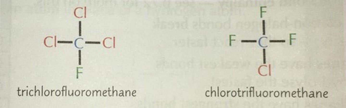 <p>Halogenoalkane molecules where all of the hydrogen atoms have been replaced by Cl and F atoms</p><p>The CFCs are then broken down by the UV light causing the formation of chlorine radicals</p><p>These radicals react with ozone and break down the ozone layer</p>