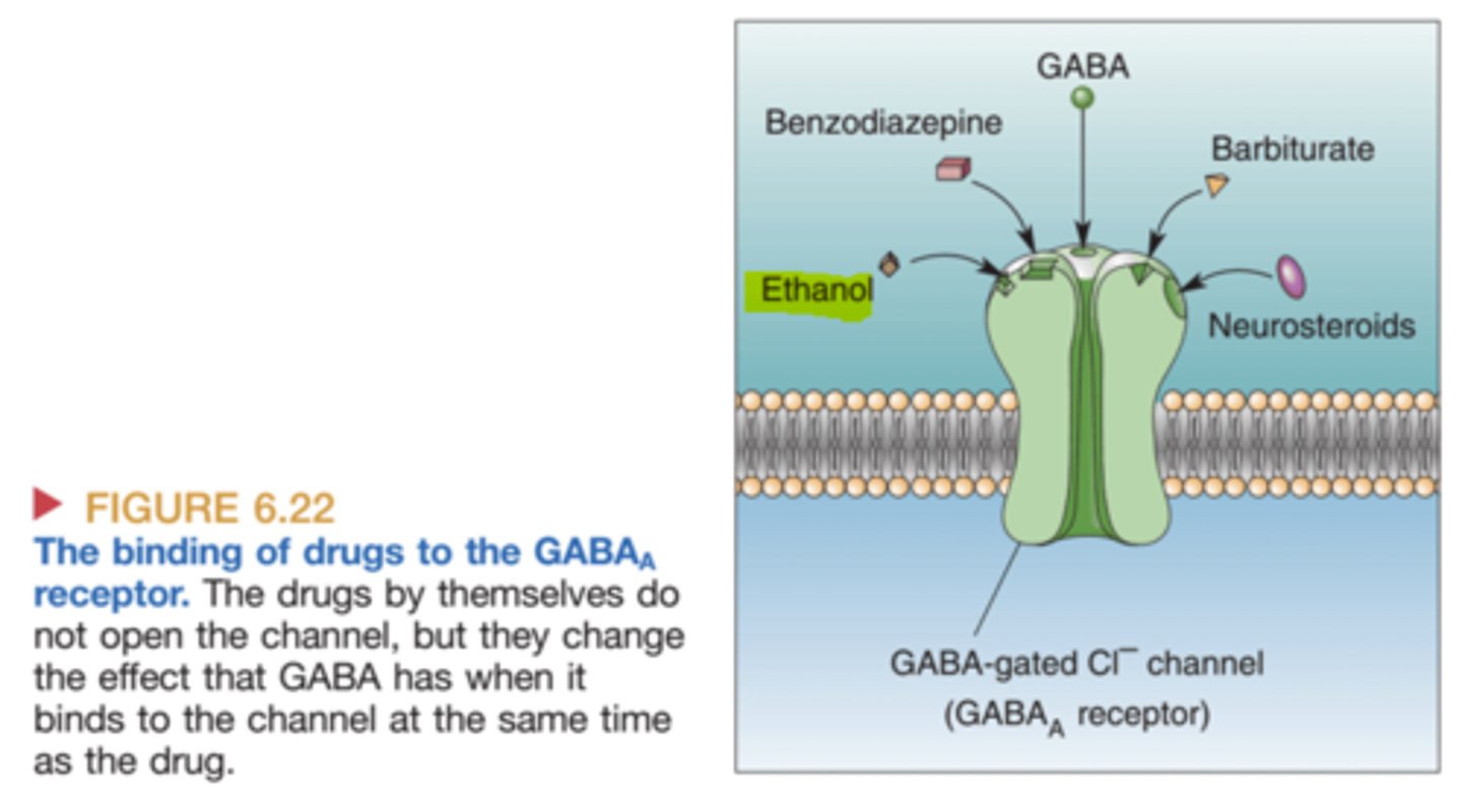 <p>1. Anaesthetics</p><p>2. Barbiturates (used more before benzodiazepines made)</p><p>3. Benzodiazepines - for anxiety relief, hypnotic</p><p>4. Neurosteroids - metabolites of progesterone and deoxycorticosterone.</p>