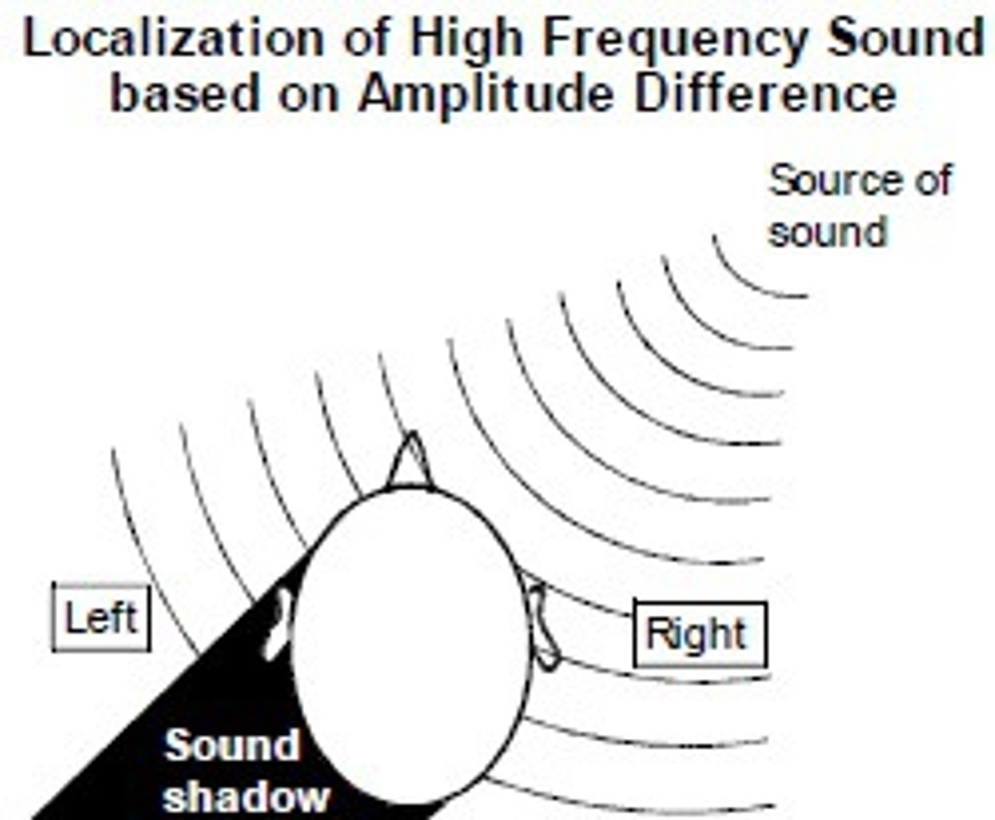 <p>We can locate sounds based on which ear they strike first. Sound will be detected by one ear earlier than the other.</p>